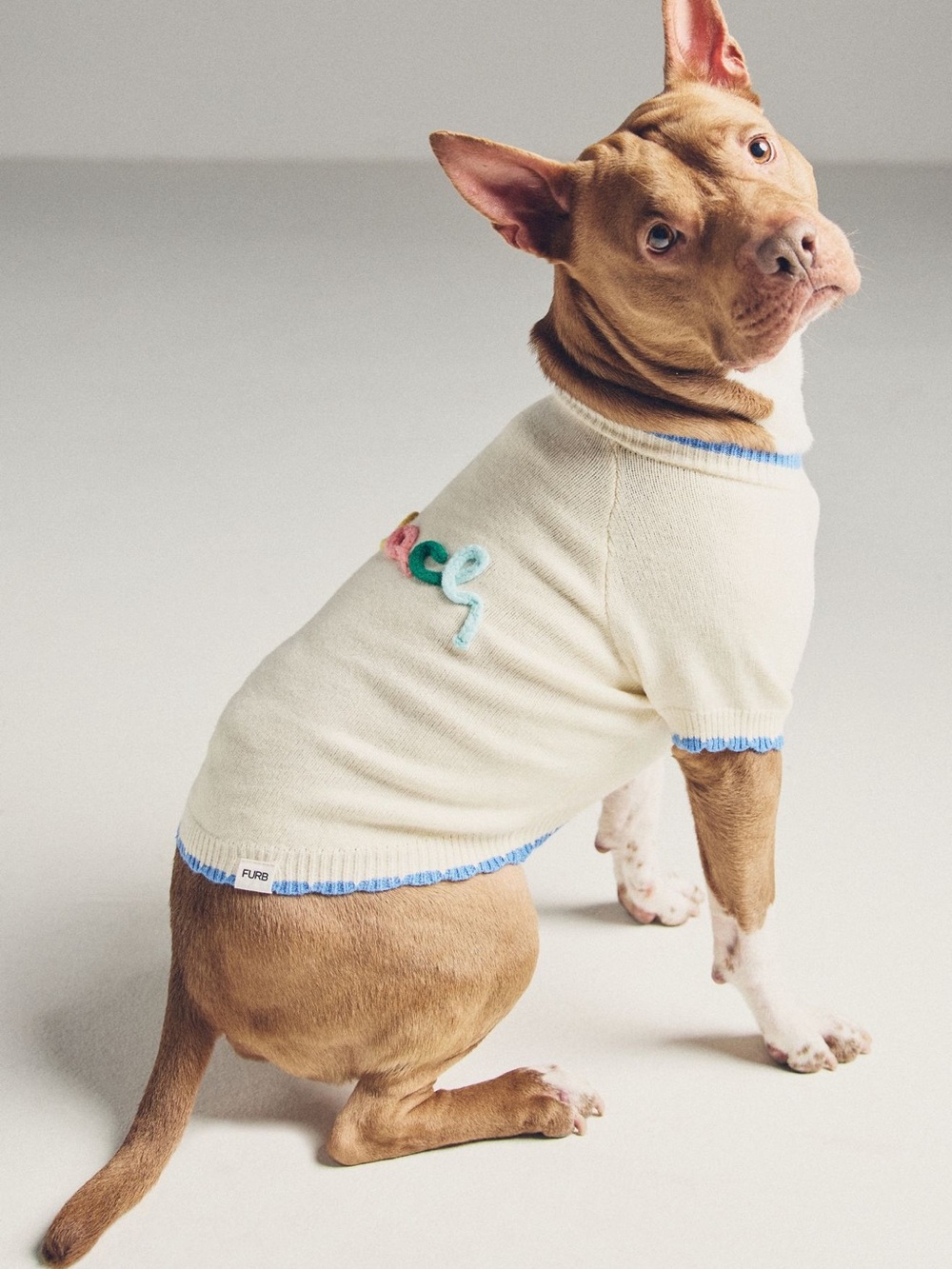 Anthropologie FURB beach bum dog sweater new